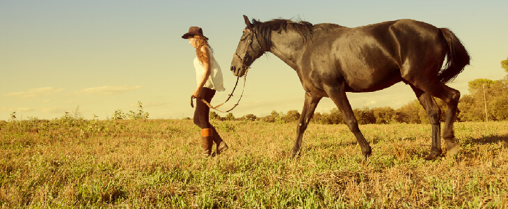 Young horse owner walking her horse through a field