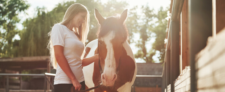 Woman standing with horse in the sunshine