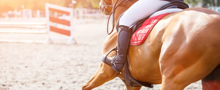 Equestrian competitor on a horse