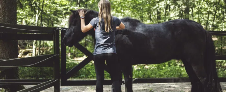 Back view of a woman grooming a black horse